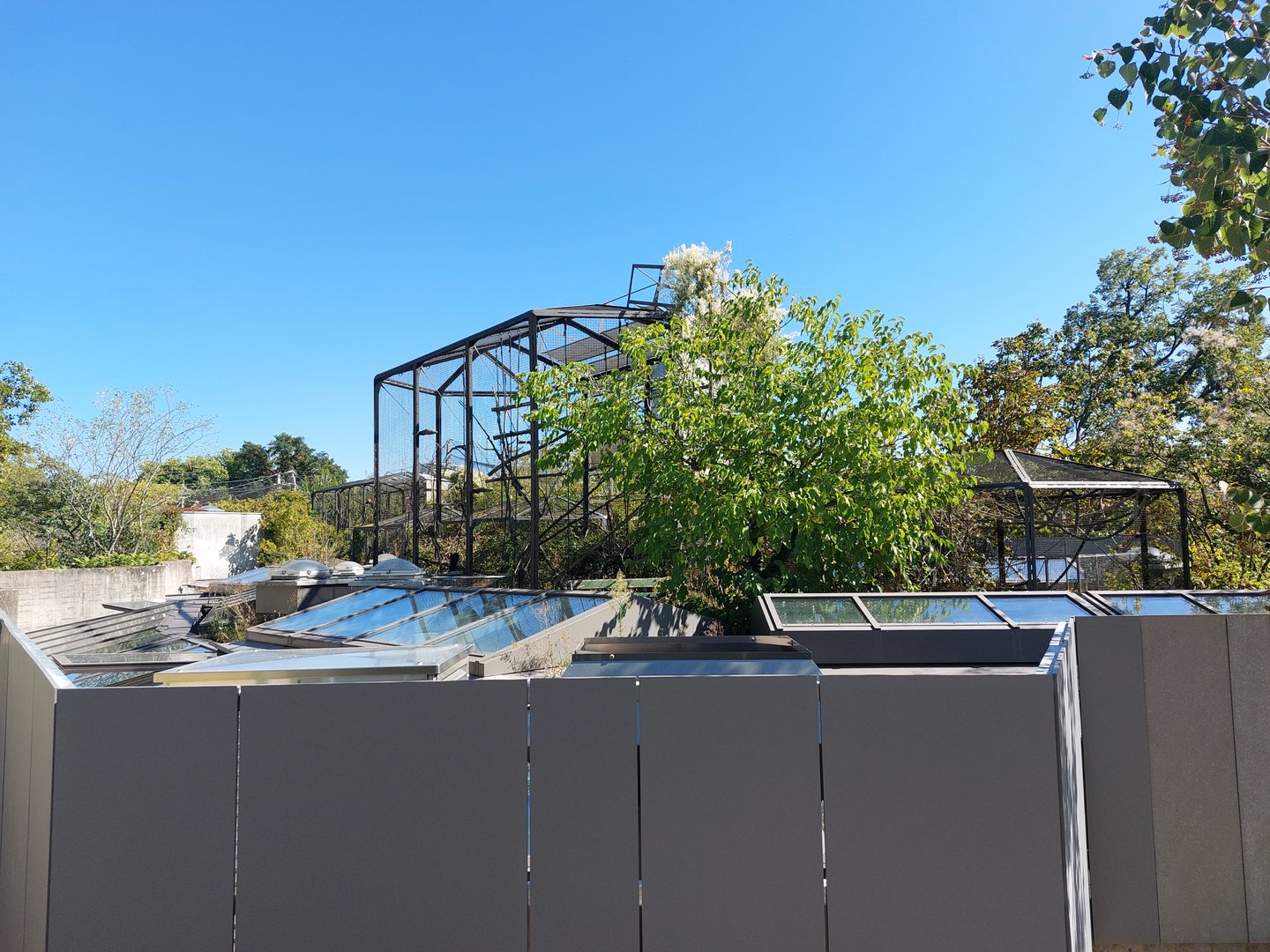 Rooftop cages for S-American monkeys