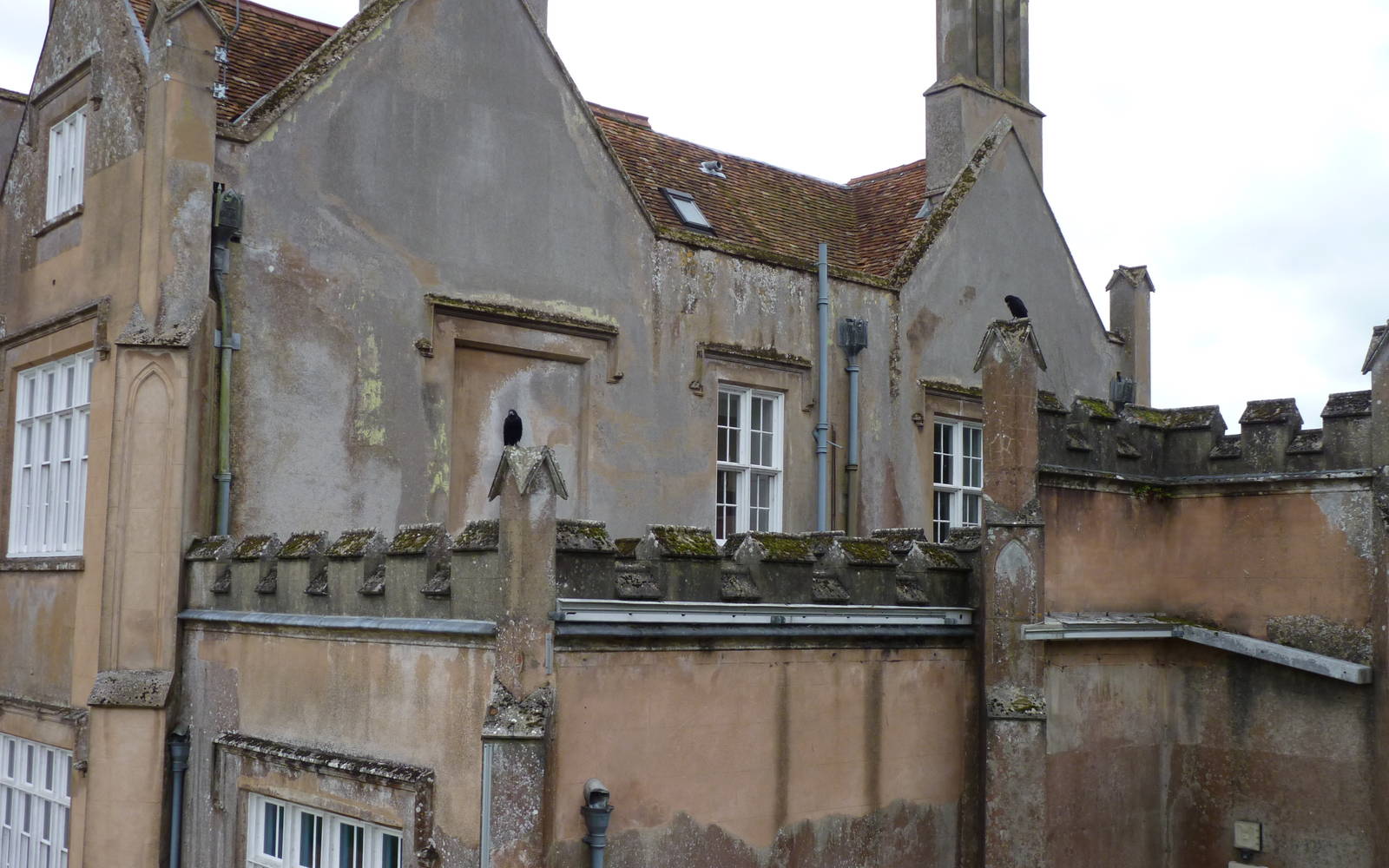 Rooks of Marwell Hall
