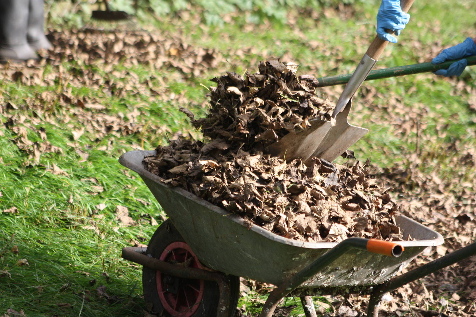 Room for some more, 12th September 2014