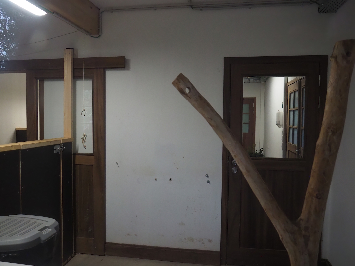 Room in koala house with koala scale and Brown Dorcopsis indoor exhibit, 2023-10-13