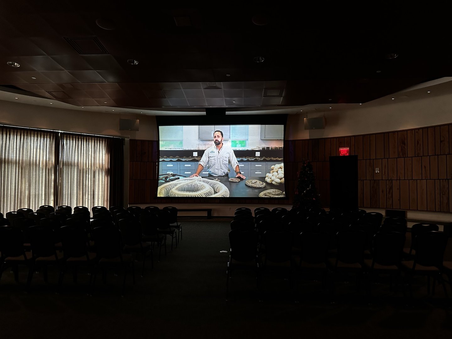 Room that shows movies