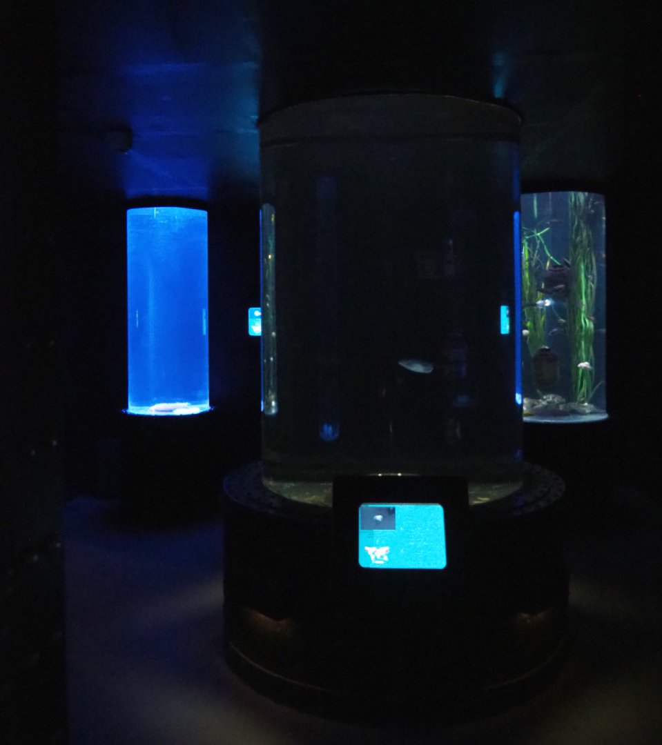 Room with cylinder tanks, 2020-09-03