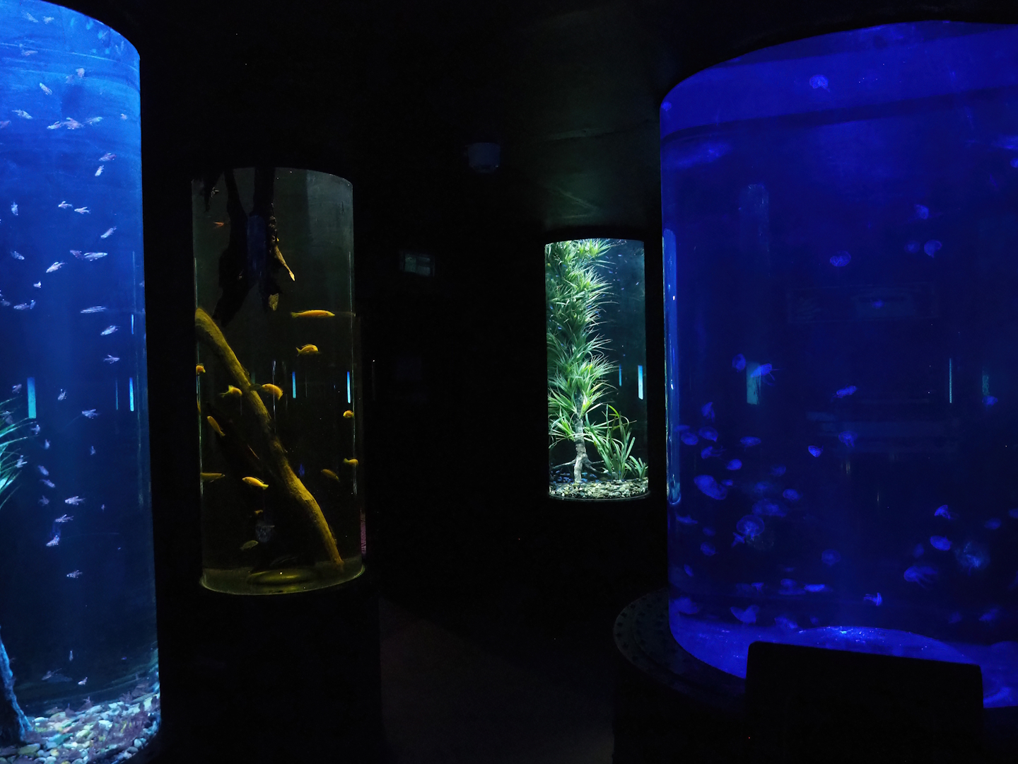 Room with cylindrical tanks, 2023-05-15