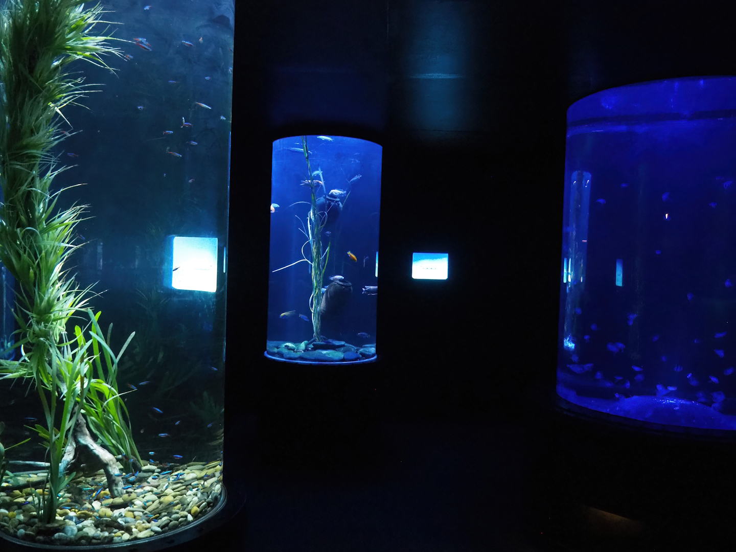 Room with cylindrical tanks, 2023-05-15