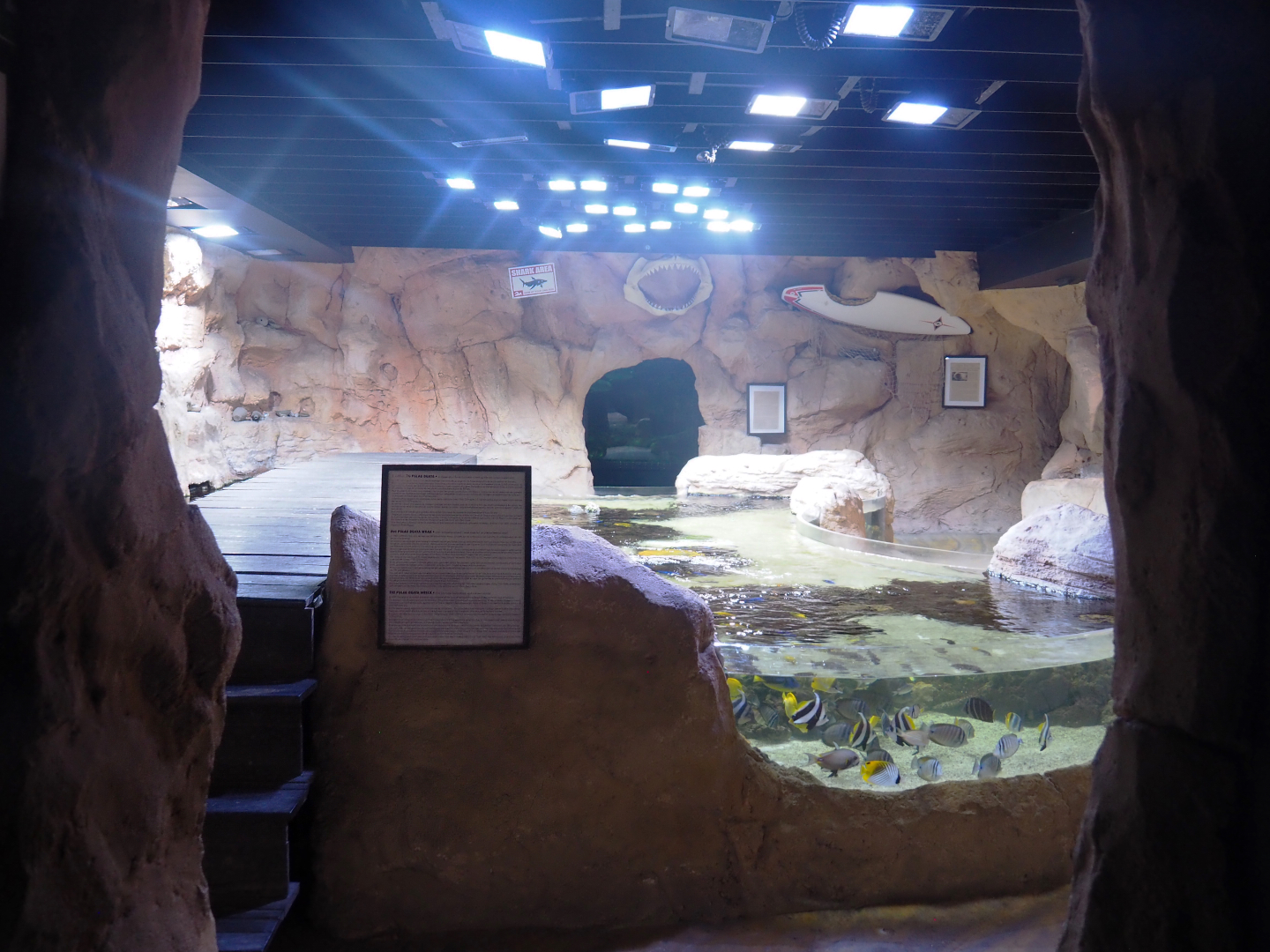 Room with open-topped reef tank, rock pool tanks and cave tank, 2022-09-14