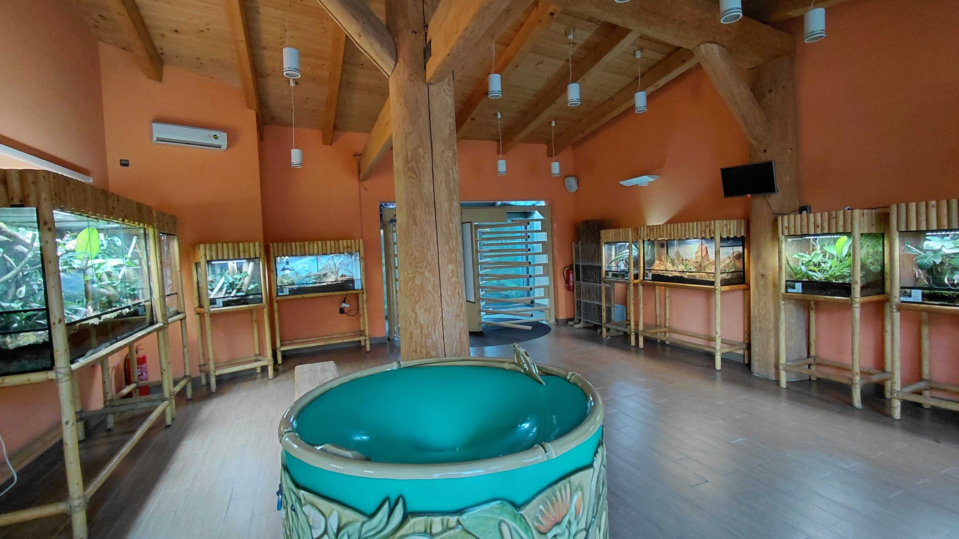 Room with terrariums