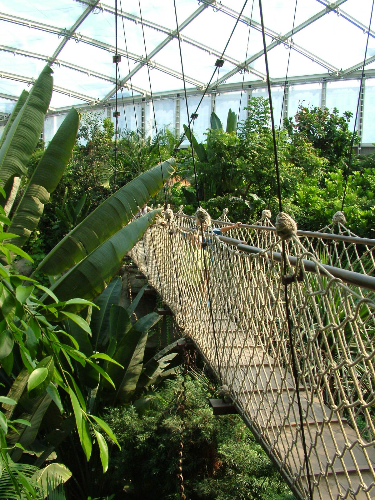 Rope Bridge - Gondwanaland, Leipzig, 02/09/11