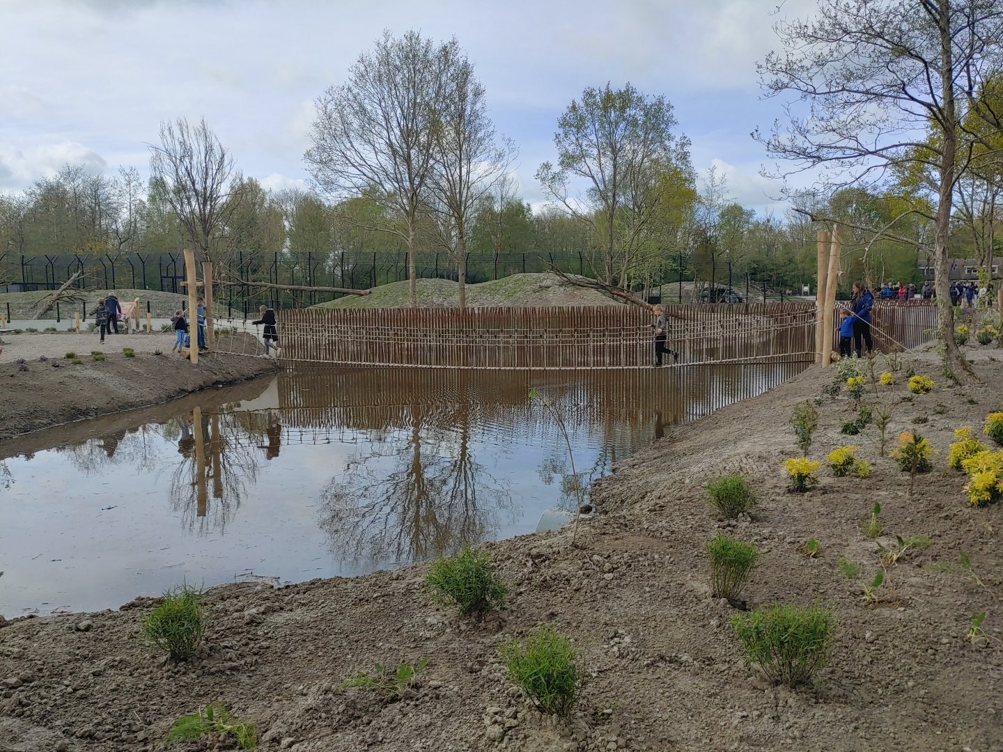 Rope bridge over the water