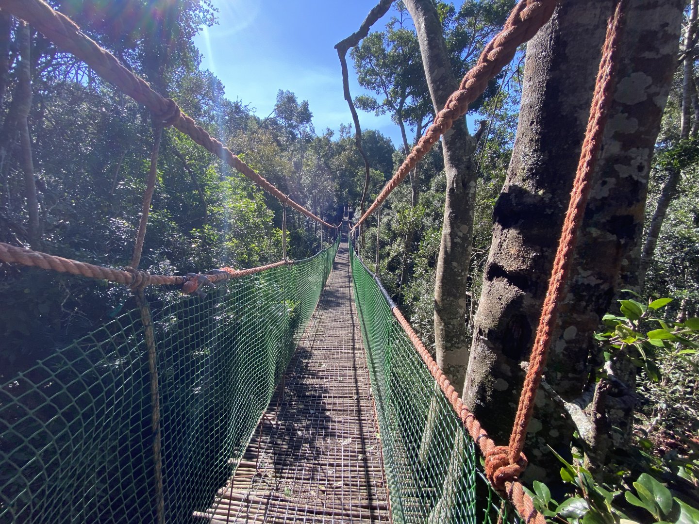 Rope bridge