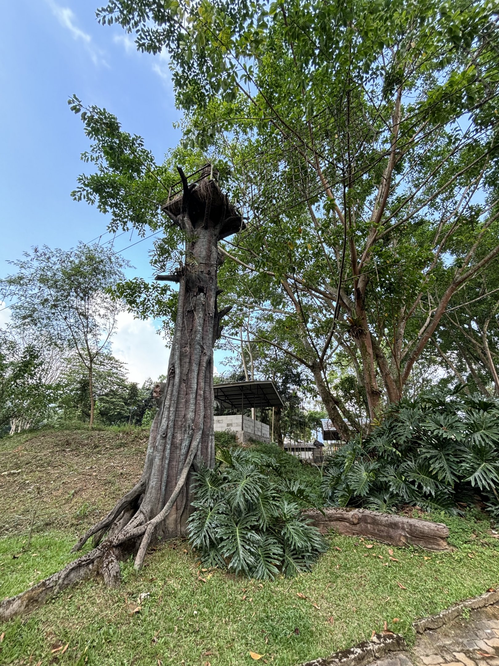 Ropes Course - Royal Safari Garden Resort