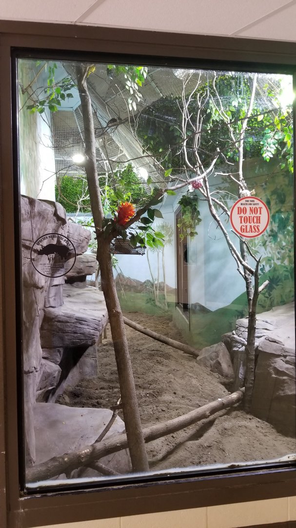 Rosamond Gifford - African Aviary