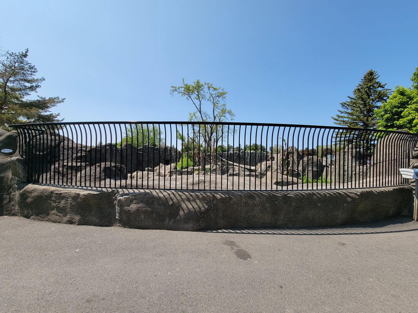 Rosamond Gifford - Andean bear exhibit