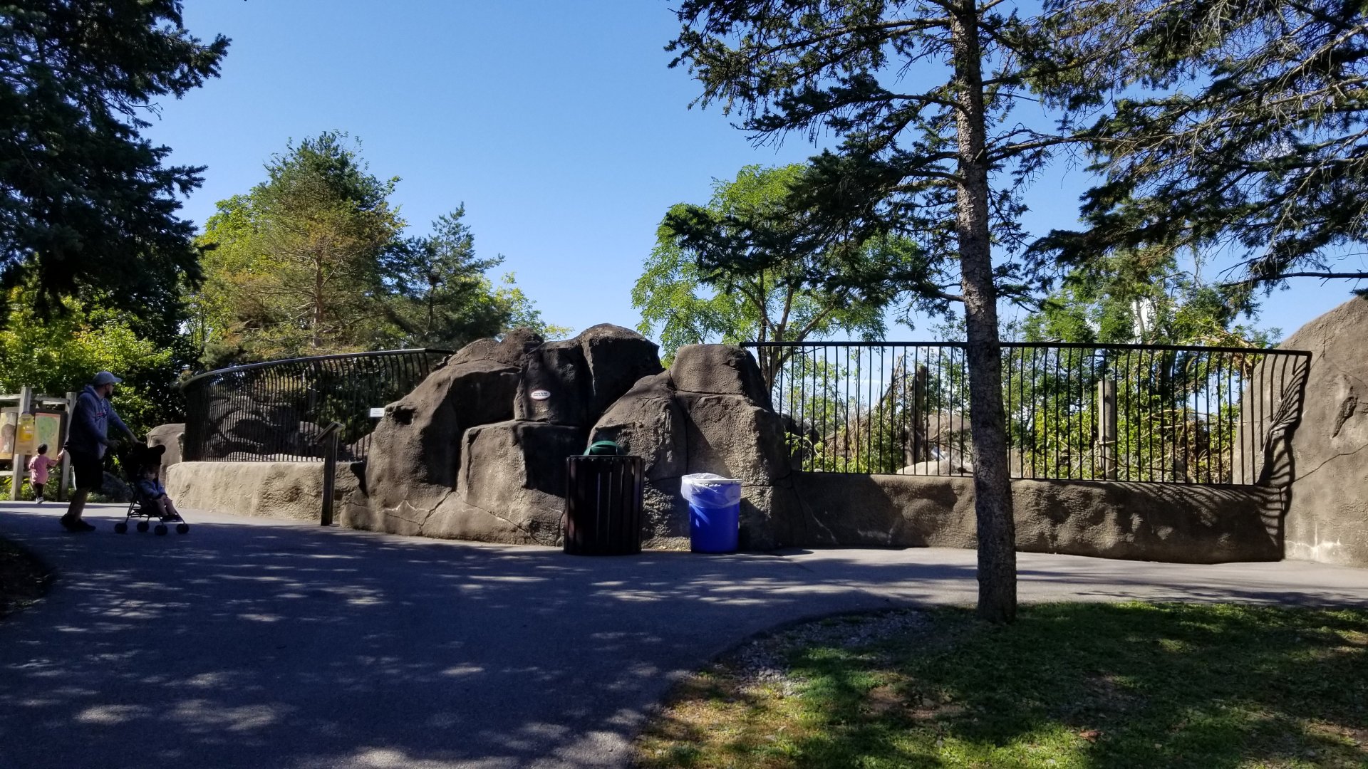 Rosamond Gifford - Andean bear