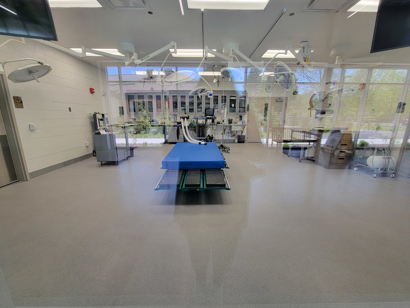 Rosamond Gifford - Animal Health Center main room; the lights turn on as you walk by