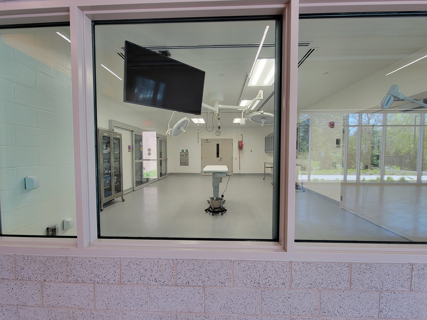 Rosamond Gifford - Animal Health Center room; the lights turn on as you walk by