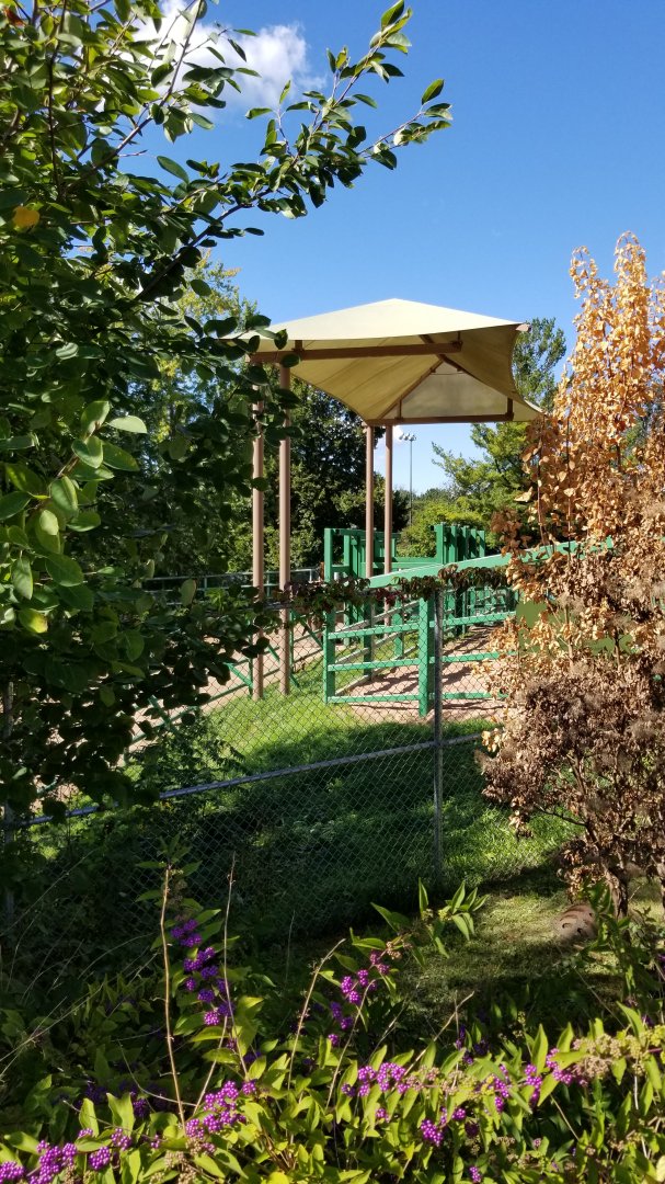 Rosamond Gifford - Asian elephant holding area