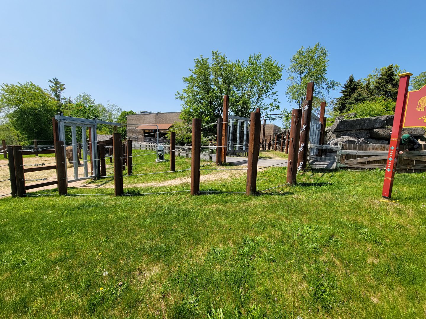 Rosamond Gifford - Asian elephant path closed to let them all out