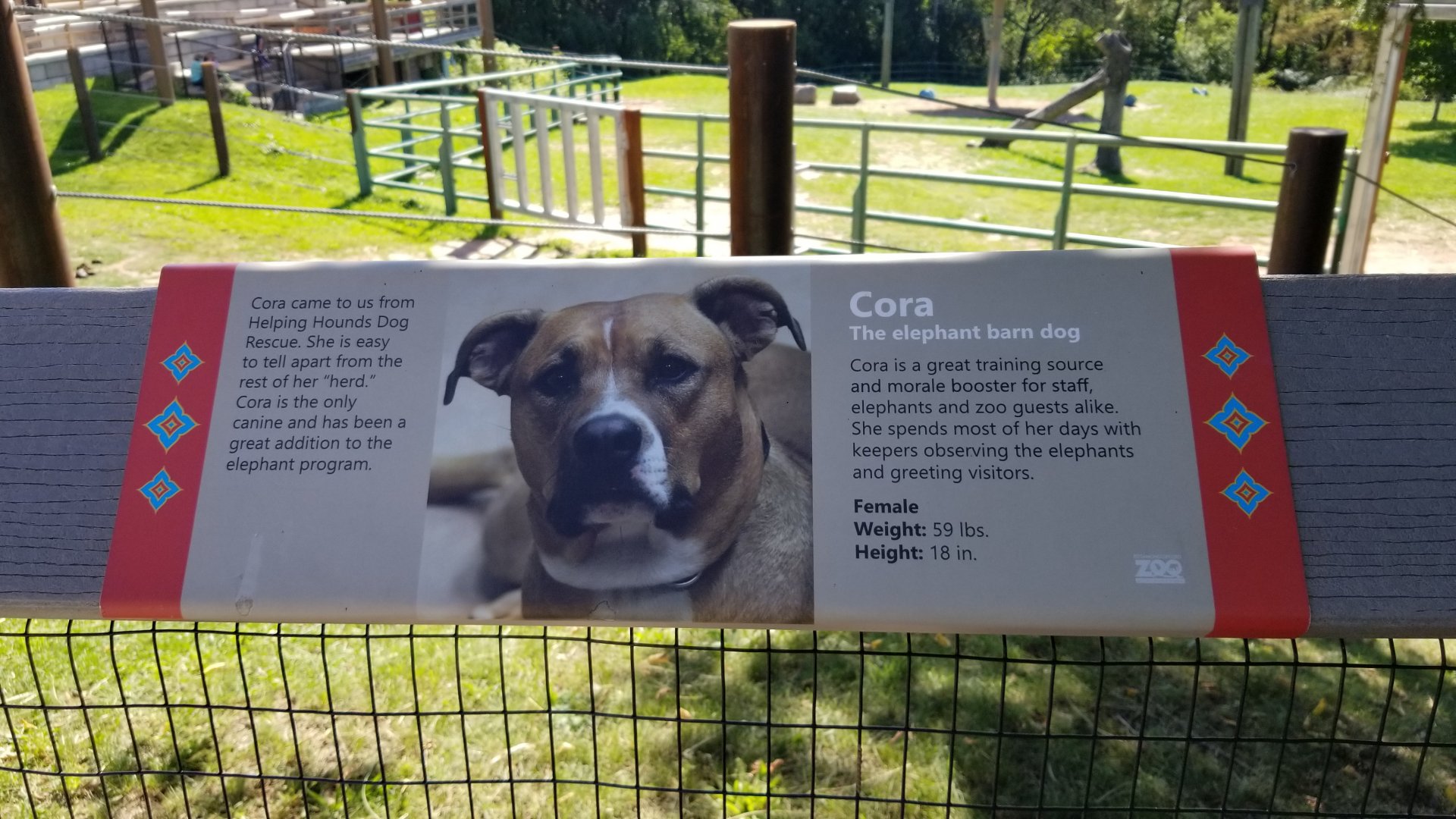 Rosamond Gifford - Asian elephant signs, Cora the barn dog