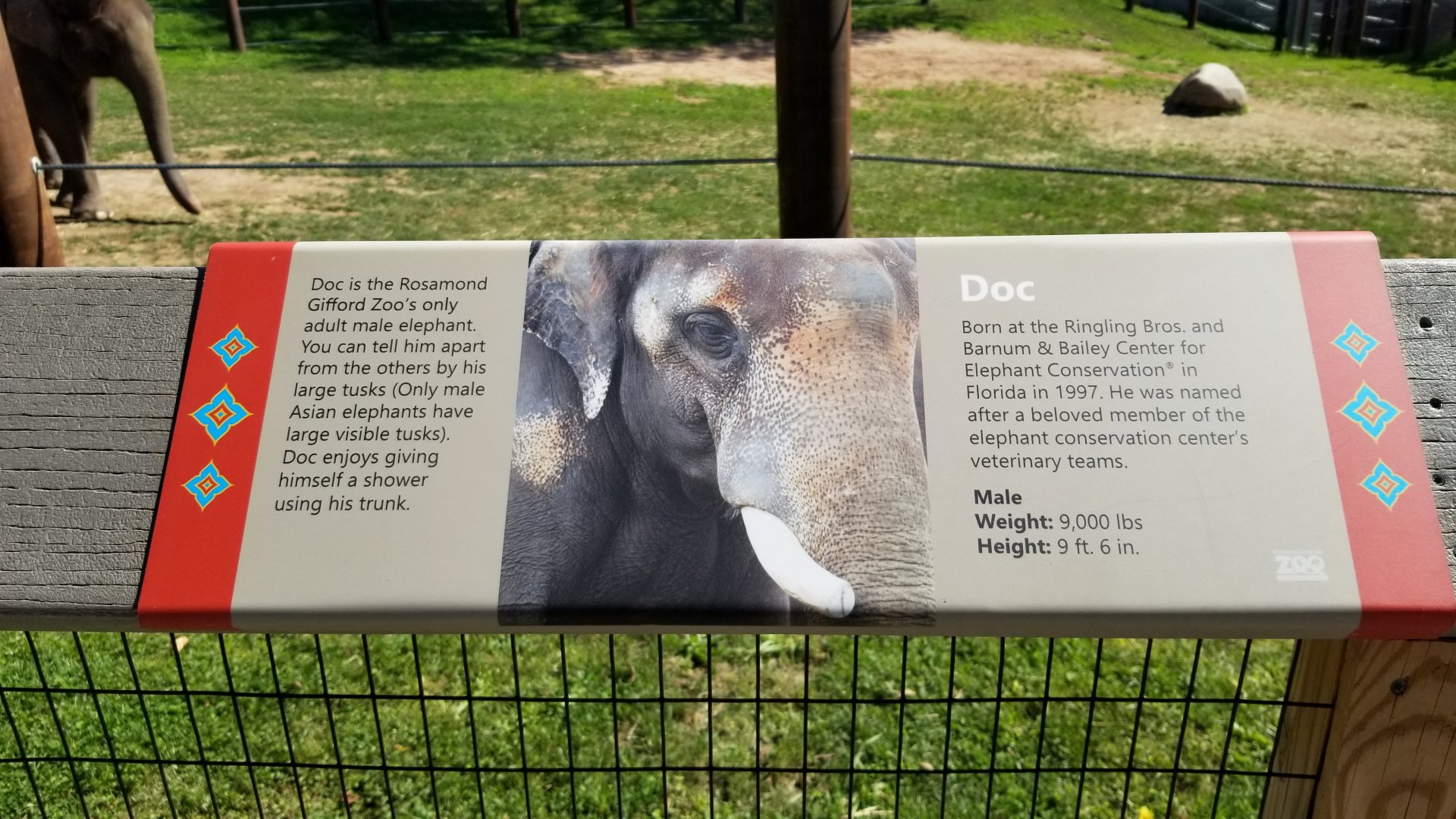 Rosamond Gifford - Asian elephant signs, Doc