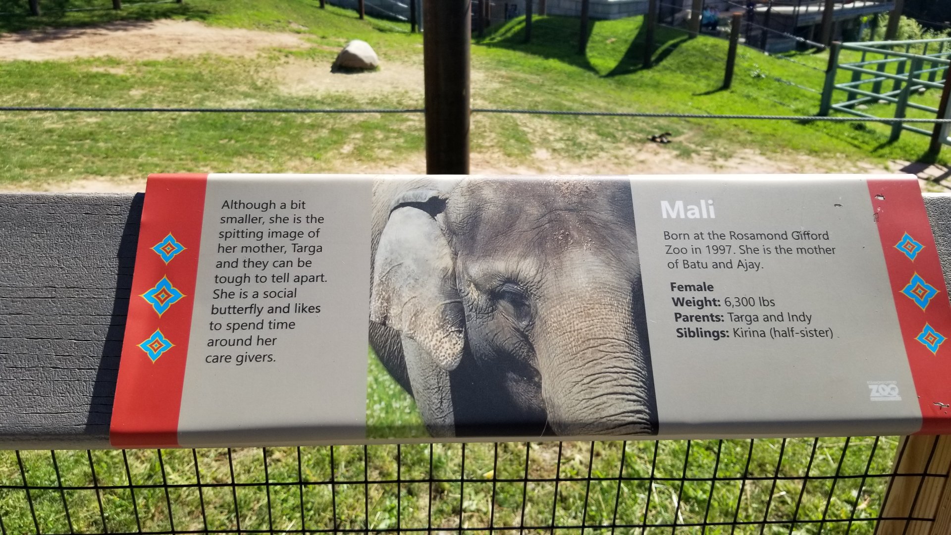 Rosamond Gifford - Asian elephant signs, Mali