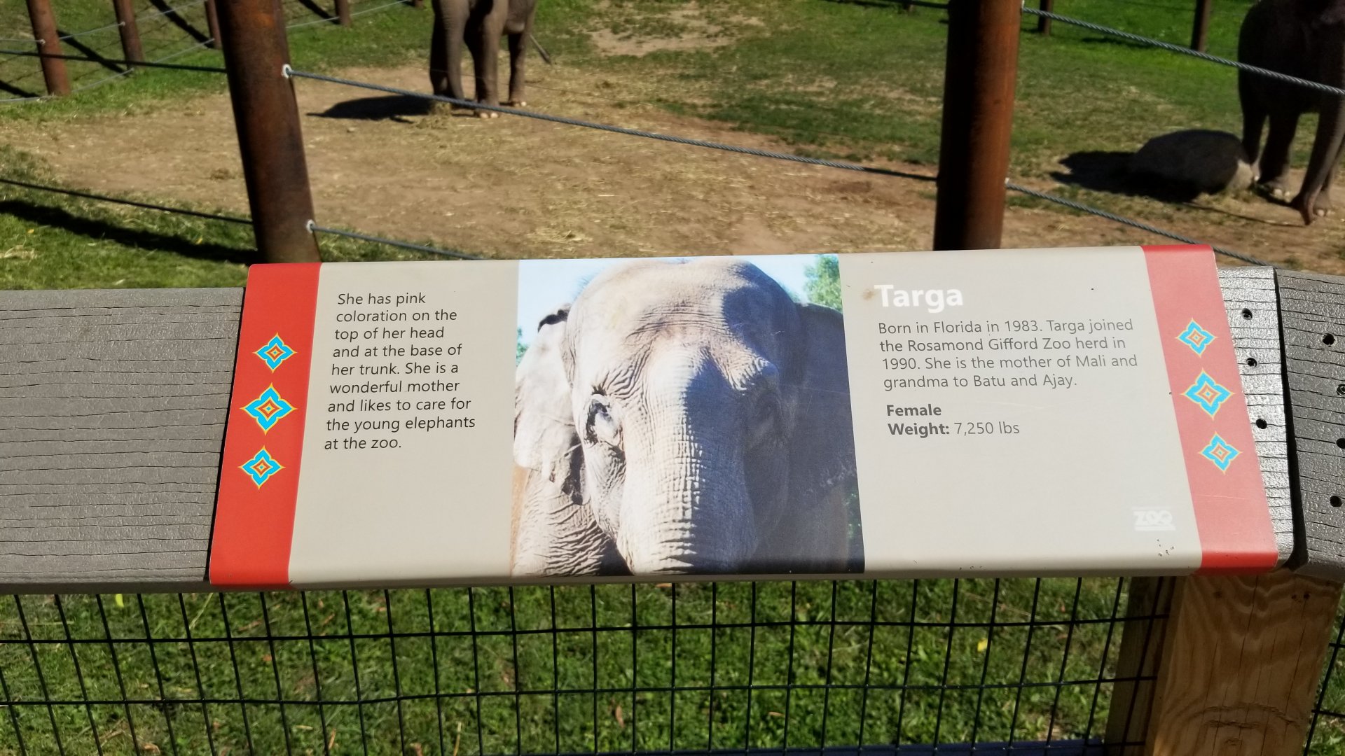 Rosamond Gifford - Asian elephant signs, Targa