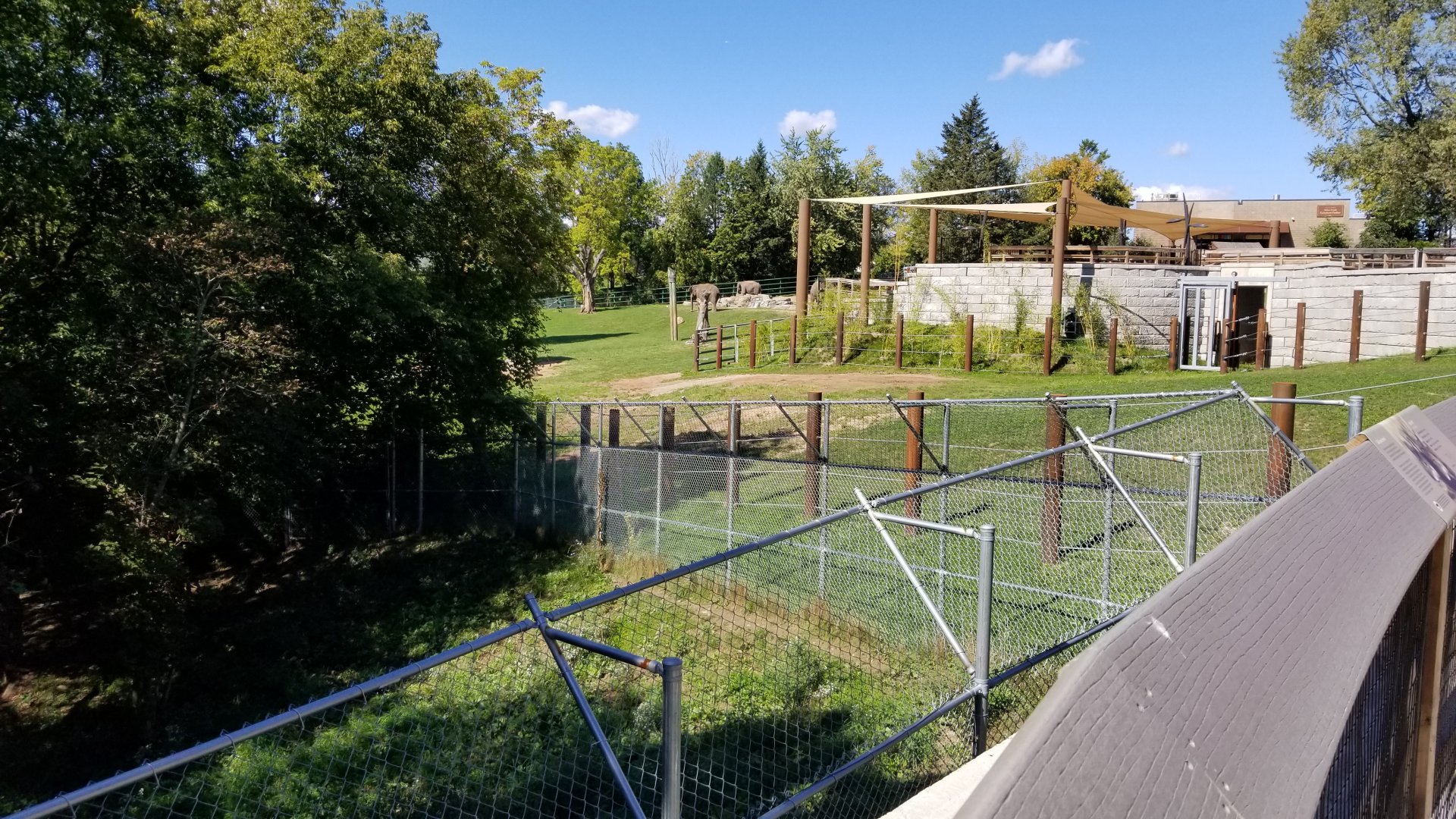Rosamond Gifford - Asian elephants, corner of red wolves