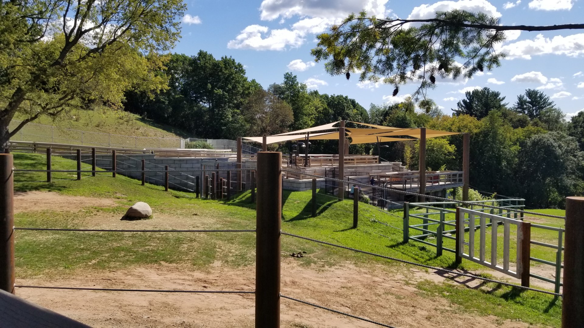 Rosamond Gifford - Asian elephants, sitting area