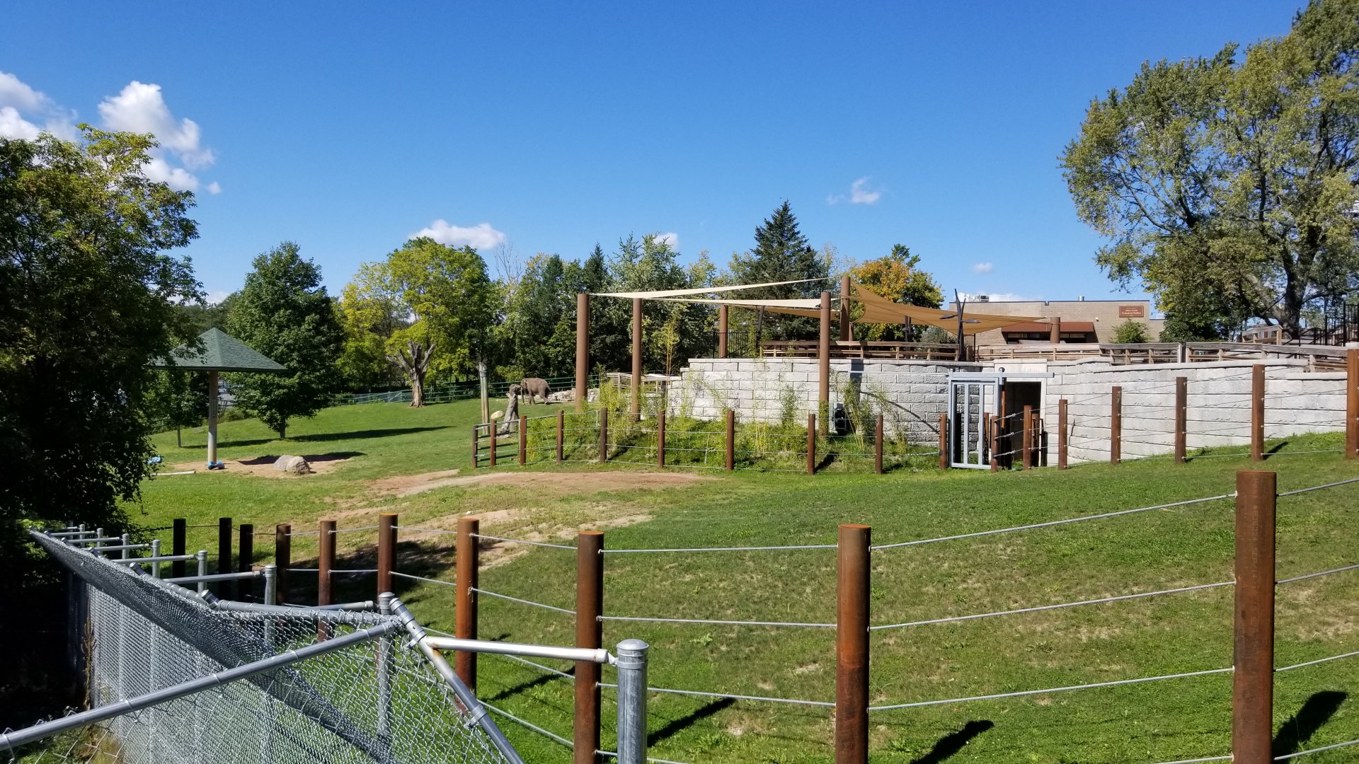 Rosamond Gifford - Asian elephants