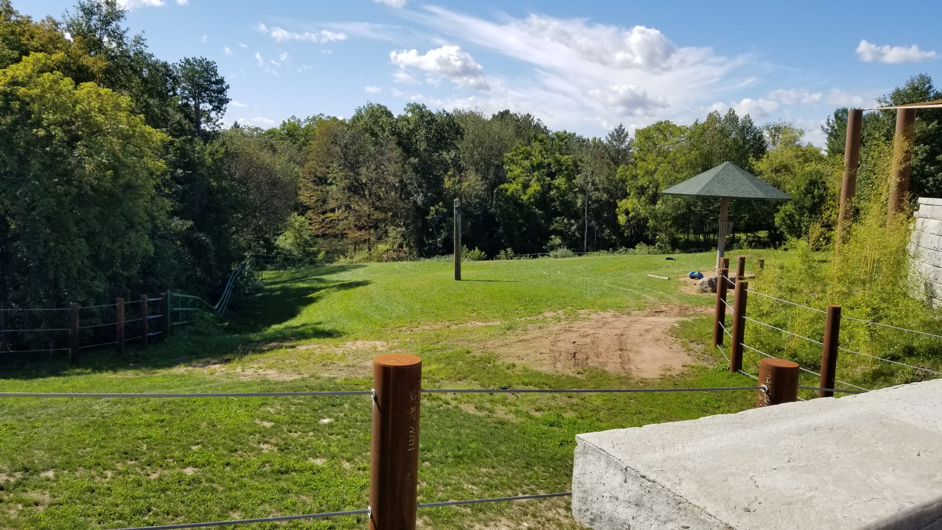 Rosamond Gifford - Asian elephants