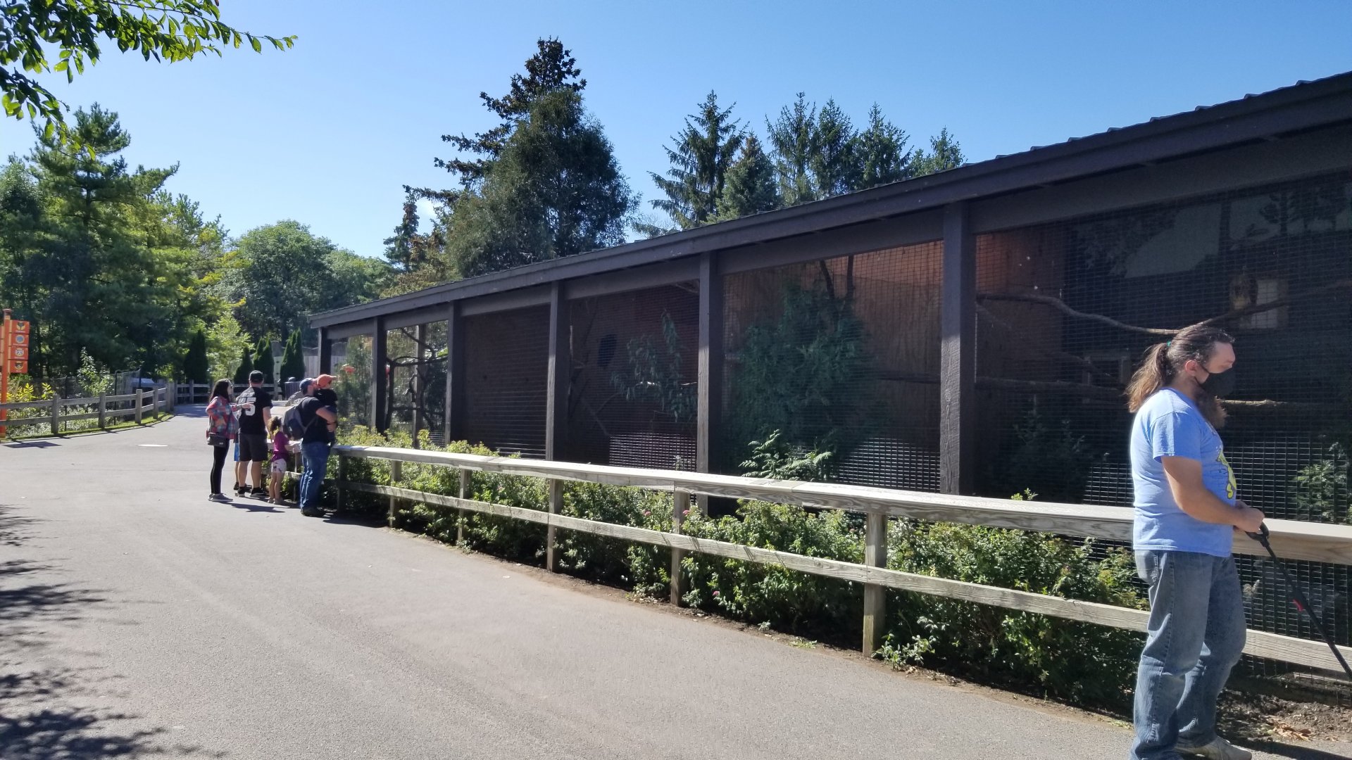 Rosamond Gifford - Aviaries