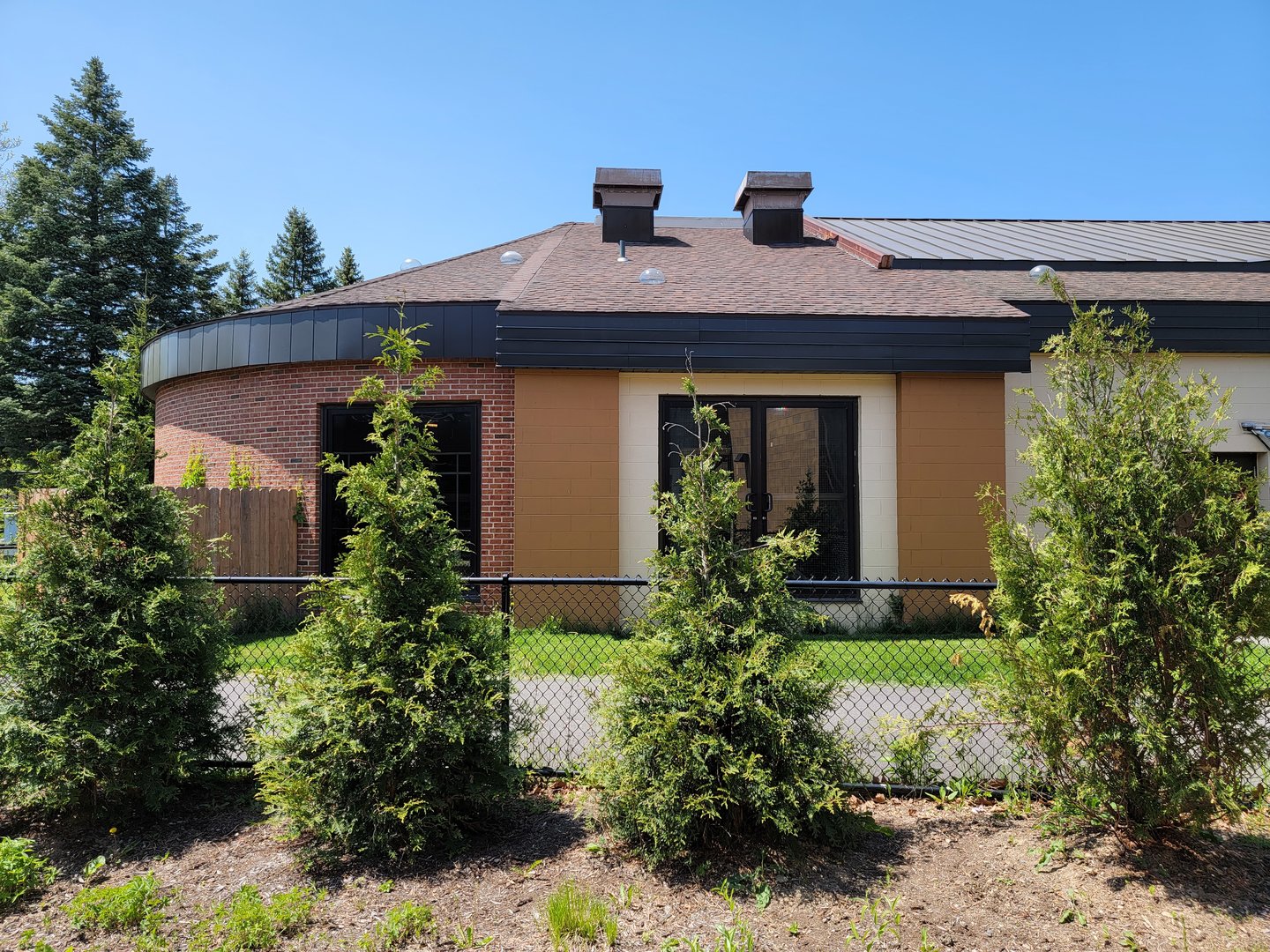 Rosamond Gifford - Back of golden lion tamarins, patas monkeys