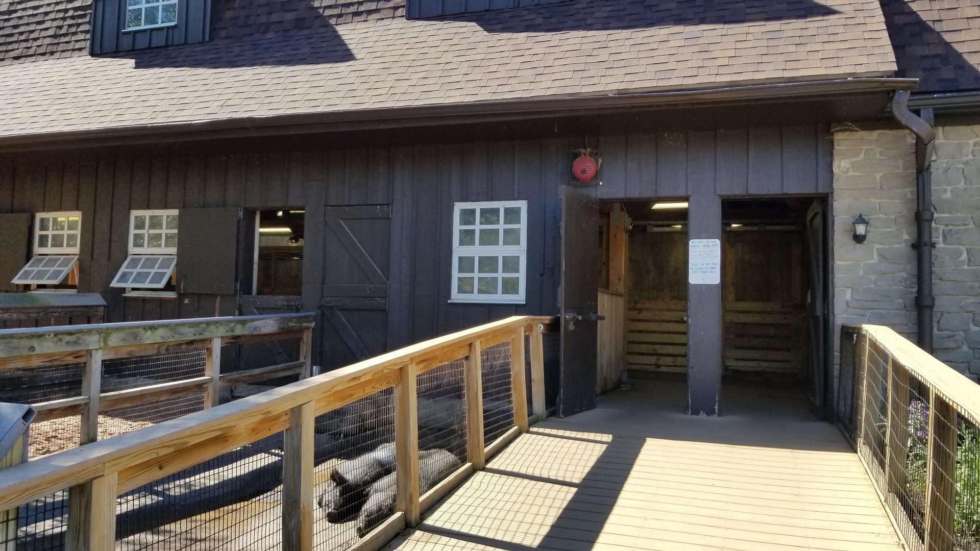 Rosamond Gifford - Barn, guinea hogs