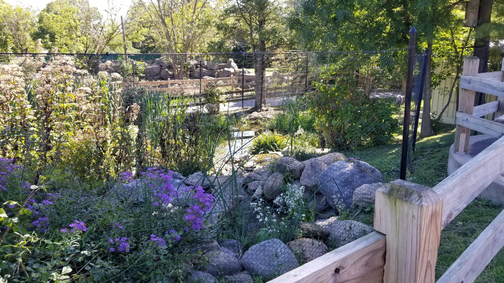 Rosamond Gifford - Blue crane exhibit