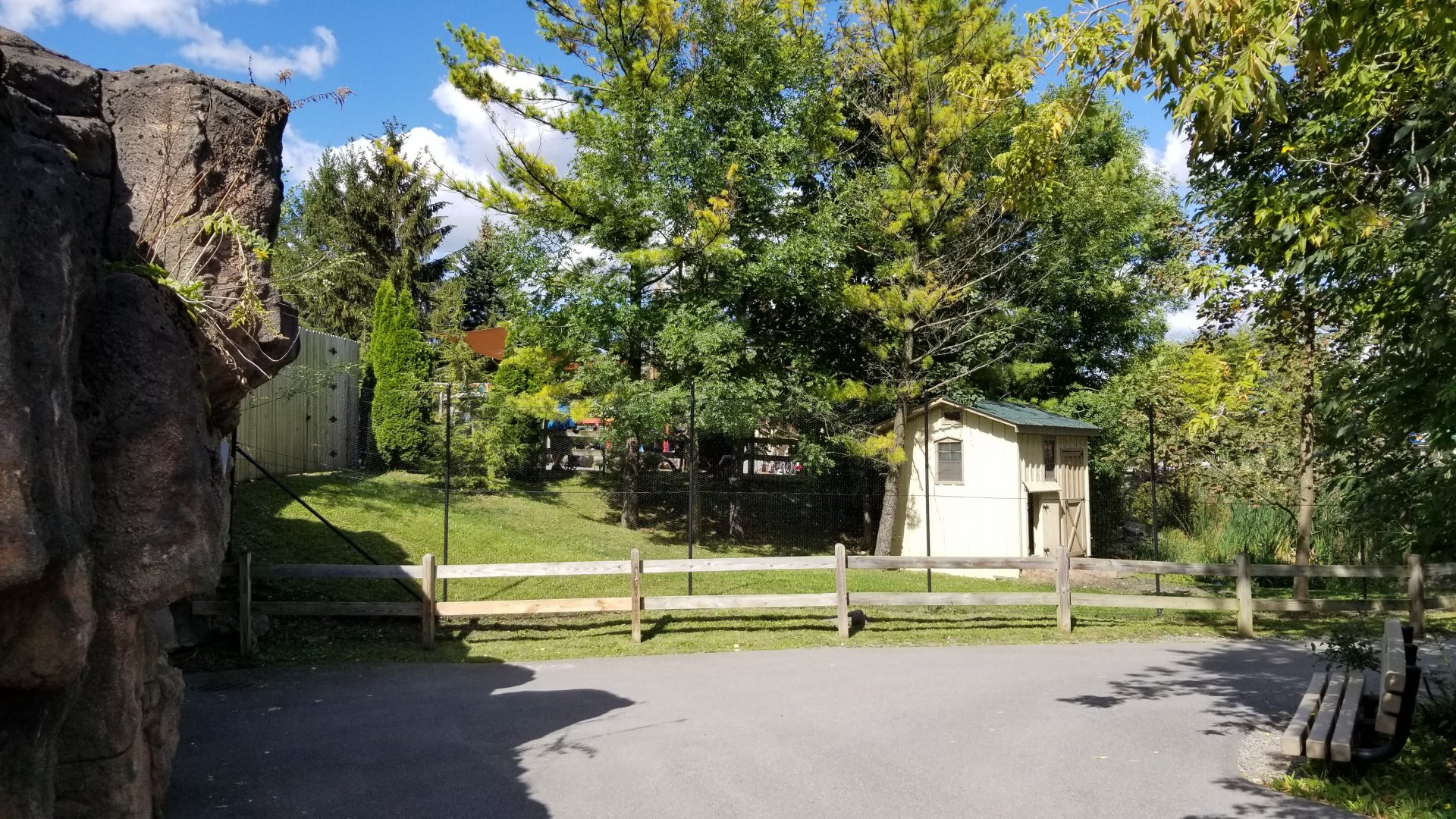 Rosamond Gifford - Blue crane exhibit