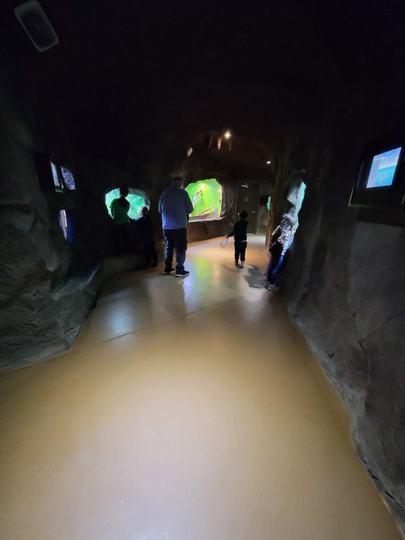 Rosamond Gifford - Continuation of cave exhibits