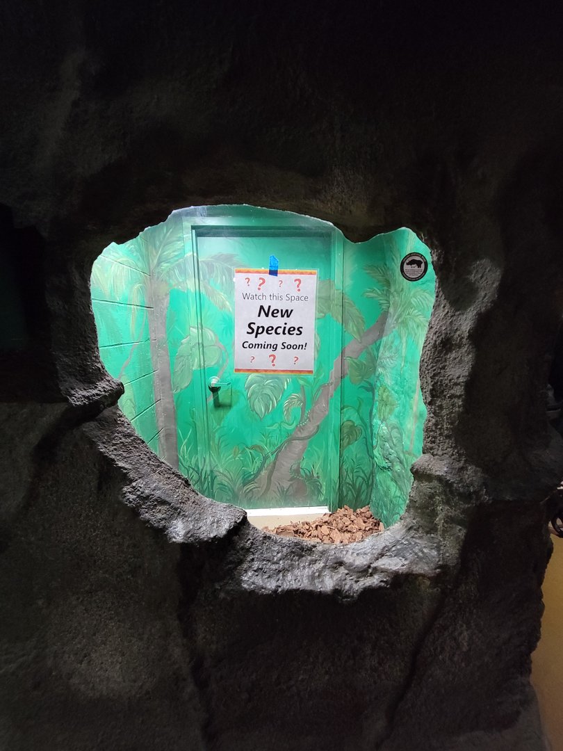 Rosamond Gifford - Empty exhibit