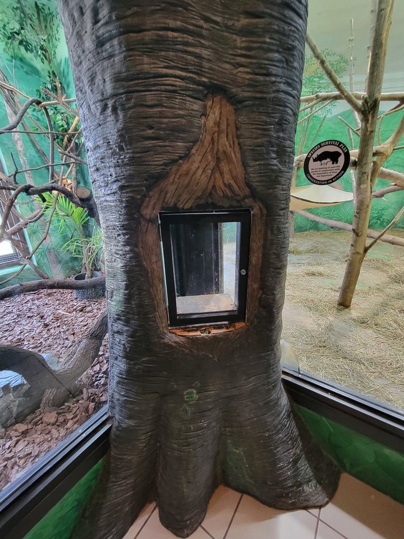 Rosamond Gifford - Empty spot that used to hold an invert