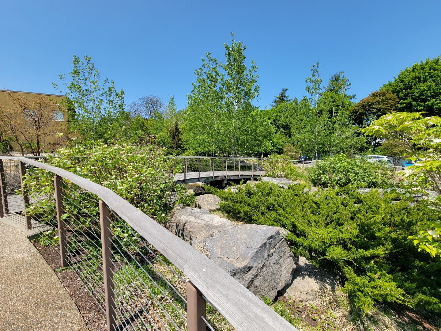 Rosamond Gifford - Entrance gardens