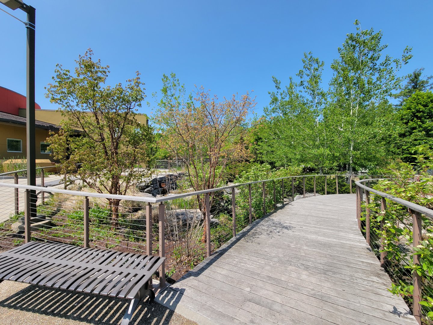 Rosamond Gifford - Entrance gardens