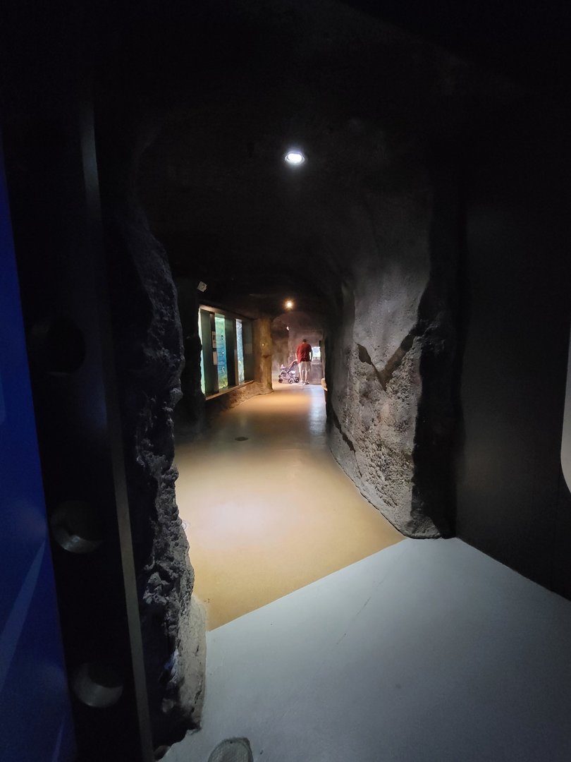 Rosamond Gifford - Entrance to caves