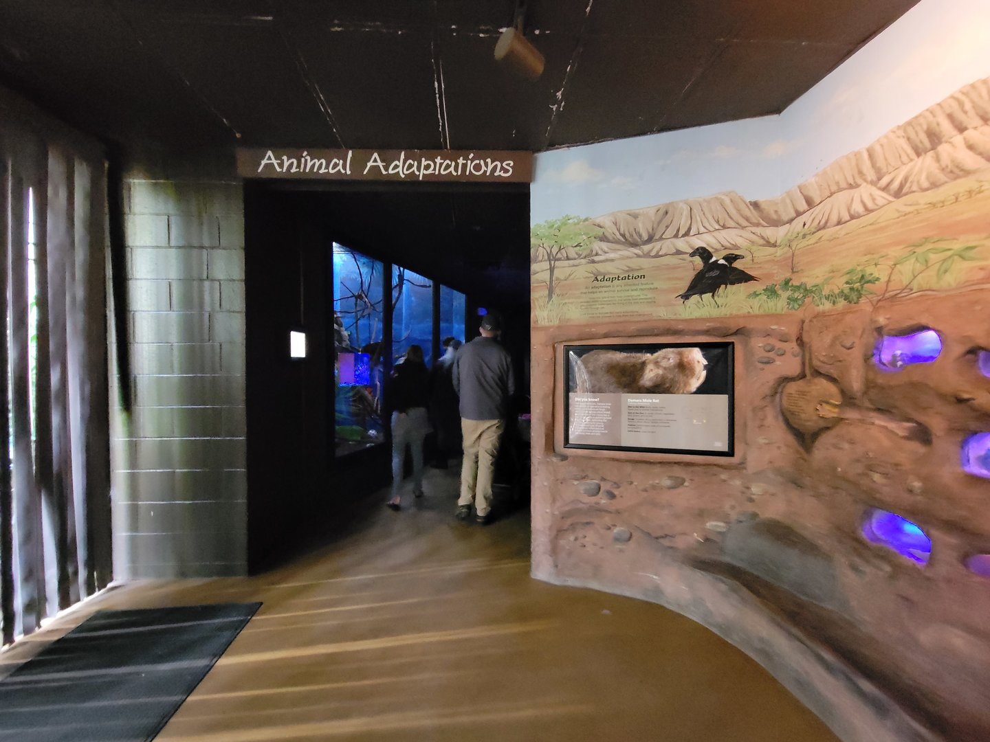 Rosamond Gifford - Entrance to nocturnal area