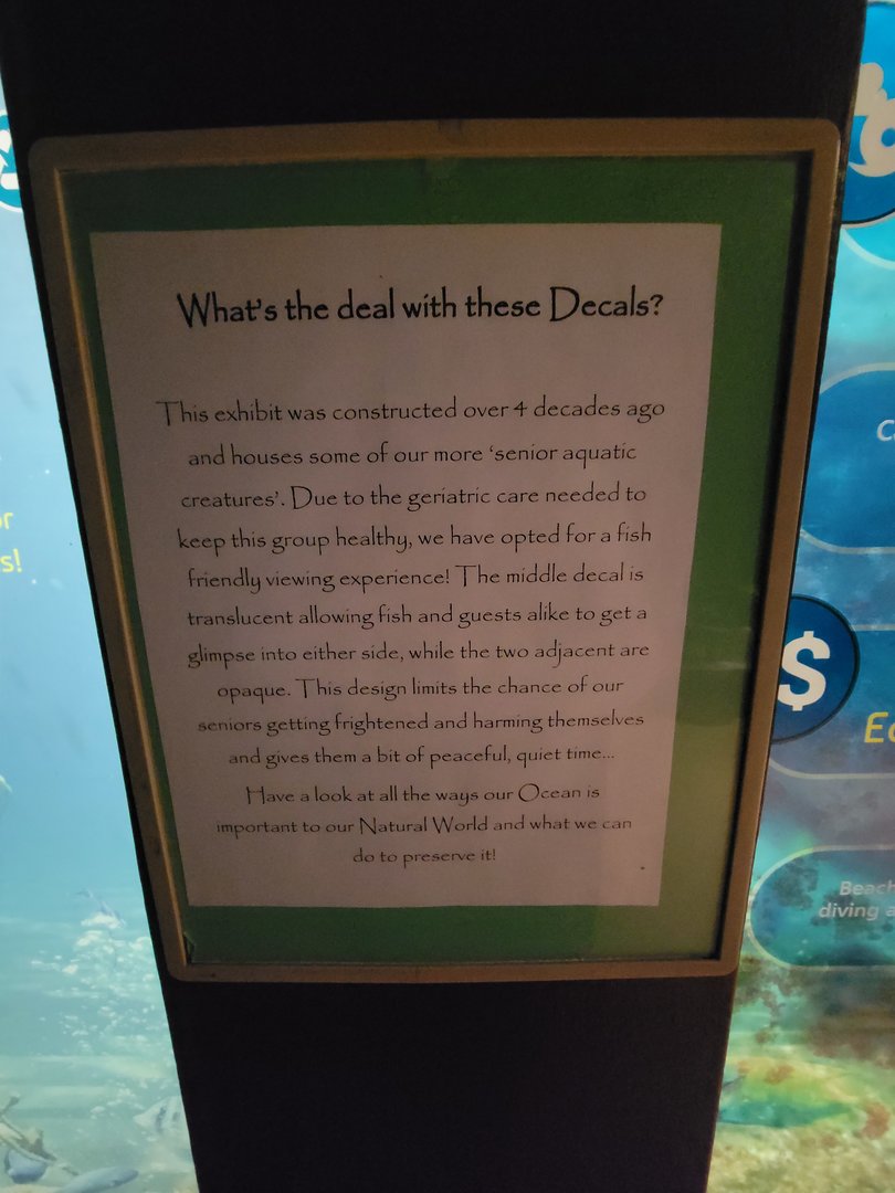 Rosamond Gifford - Explanation of the World Oceans exhibit