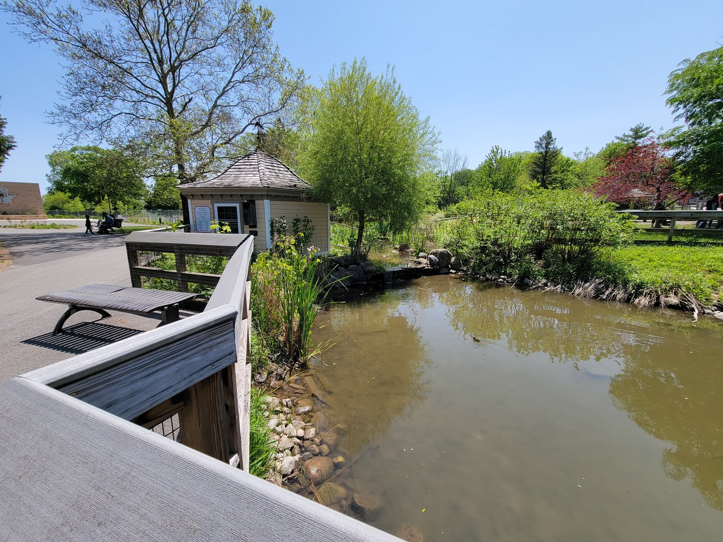 Rosamond Gifford - Extention of waterfowl pond