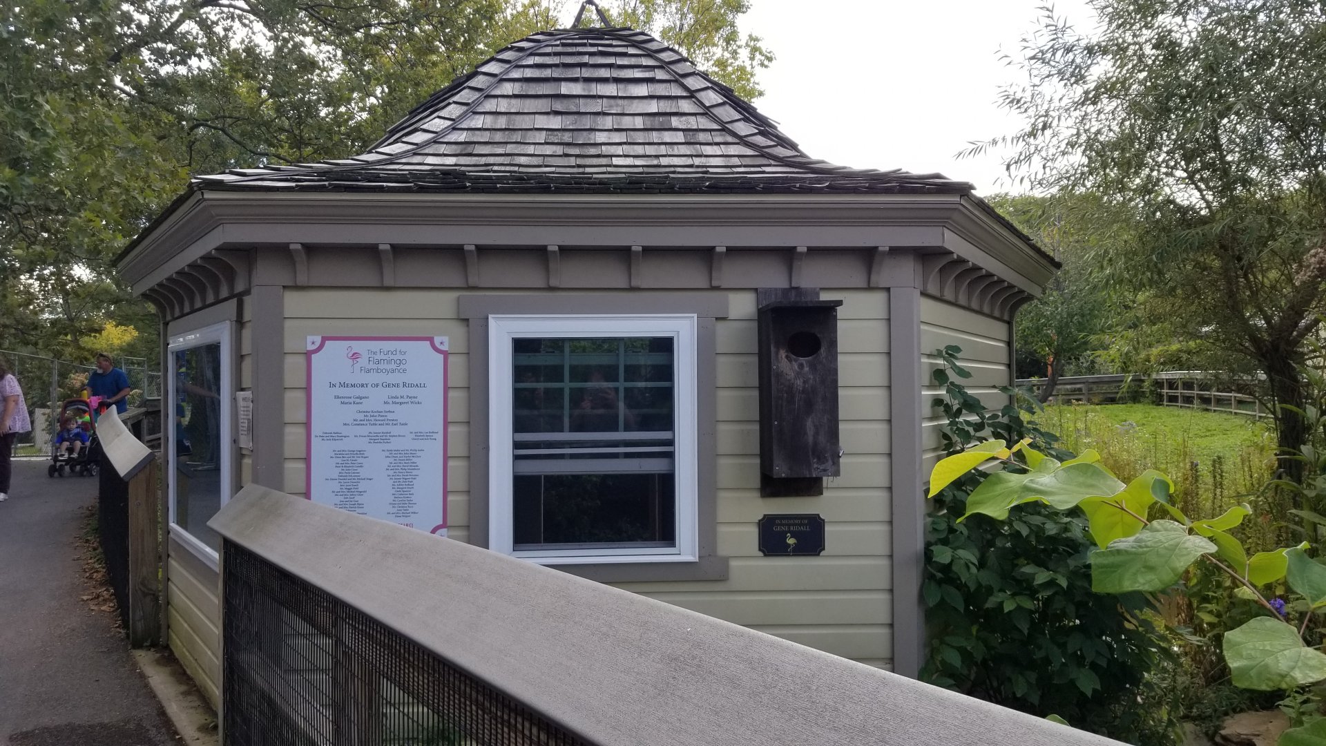 Rosamond Gifford - Flamingo winter housing