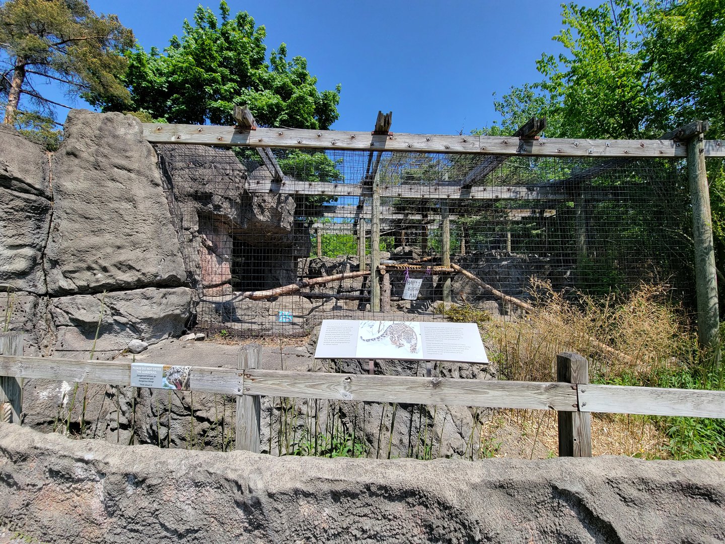 Rosamond Gifford - Front of snow leopard exhibit