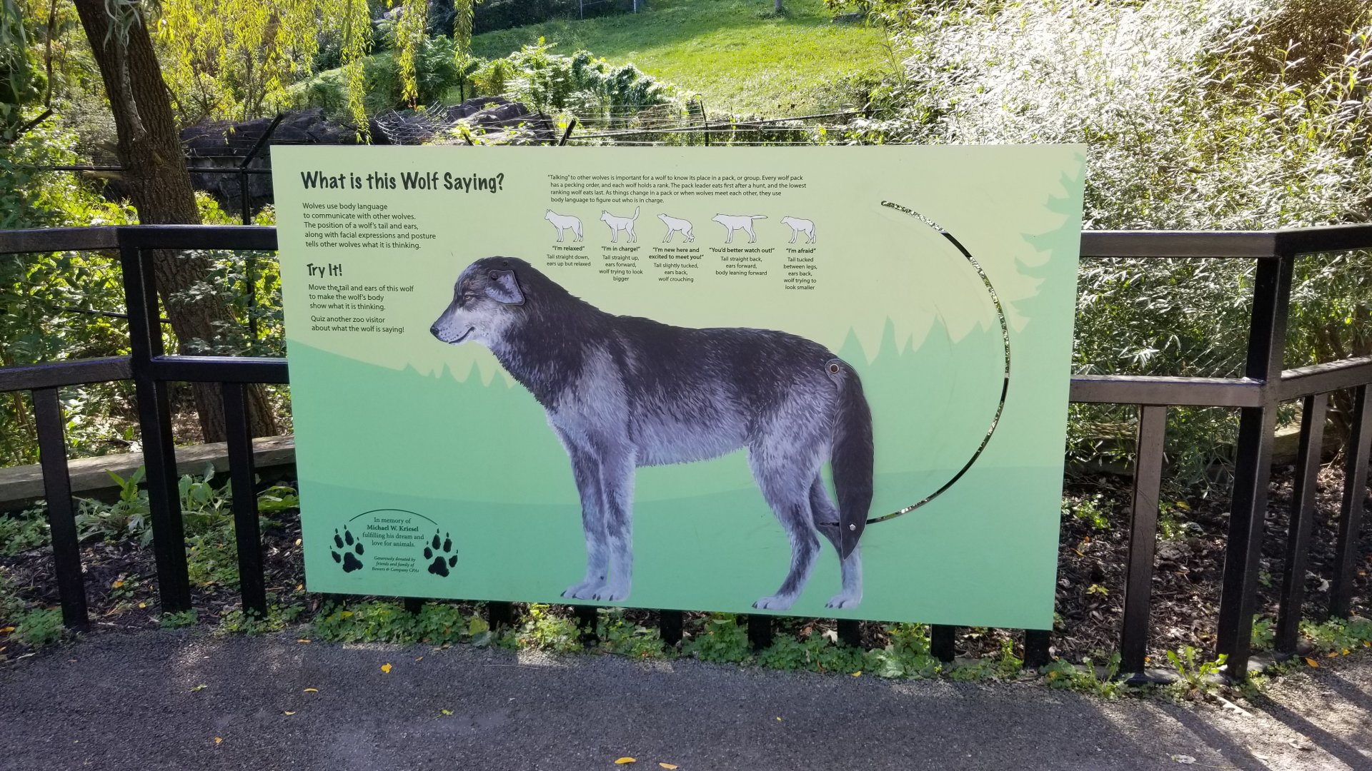 Rosamond Gifford - Gray wolf behavior sign