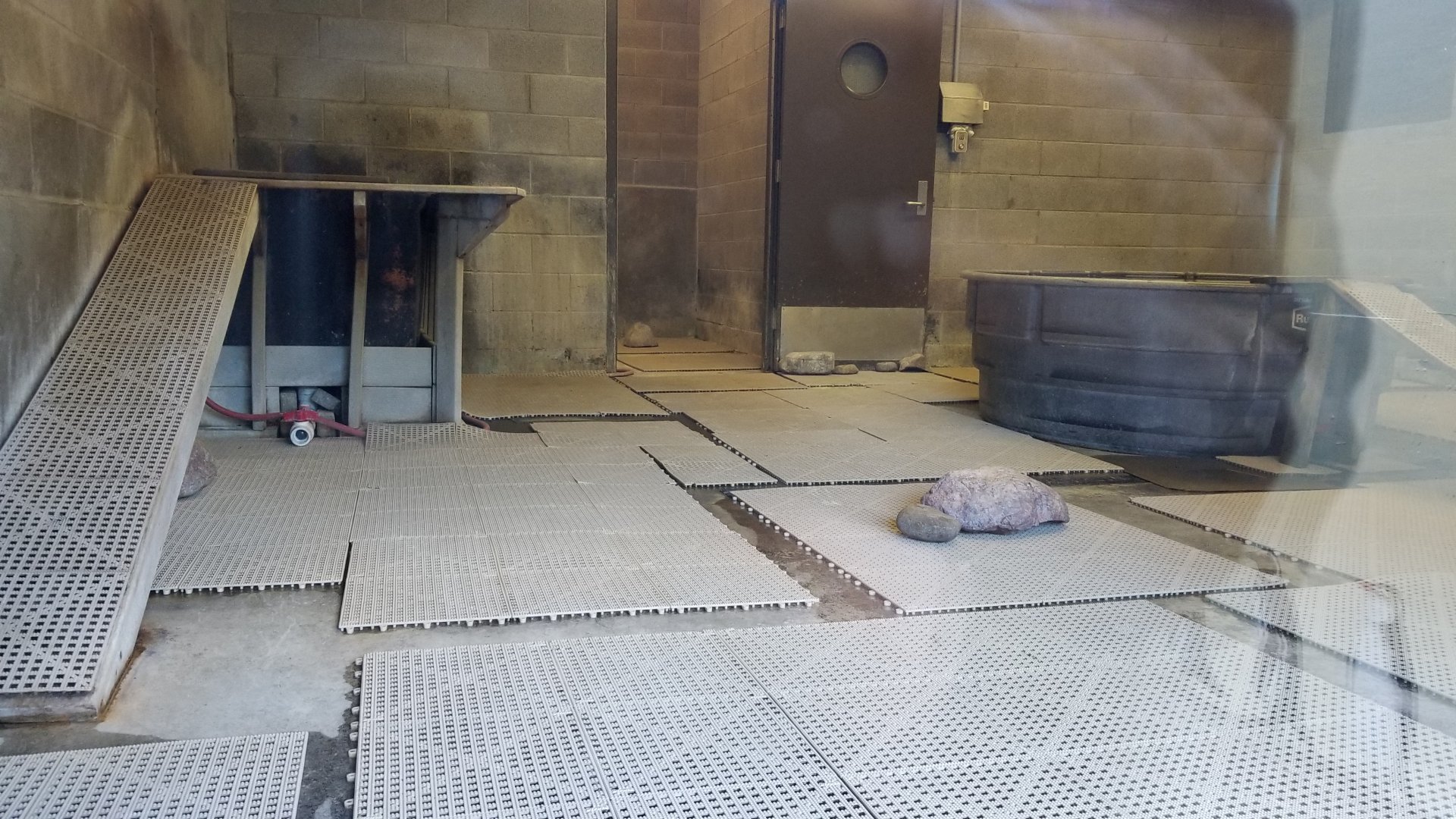 Rosamond Gifford - Huboldt penguin building