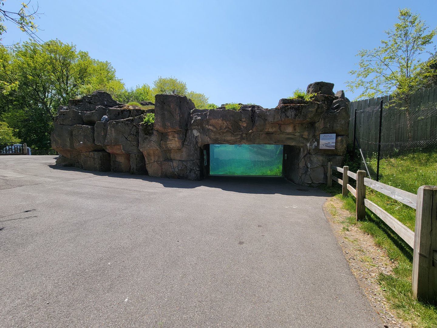 Rosamond Gifford - Humboldt penguins, lowest window