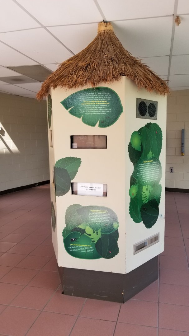 Rosamond Gifford - Insects, empty