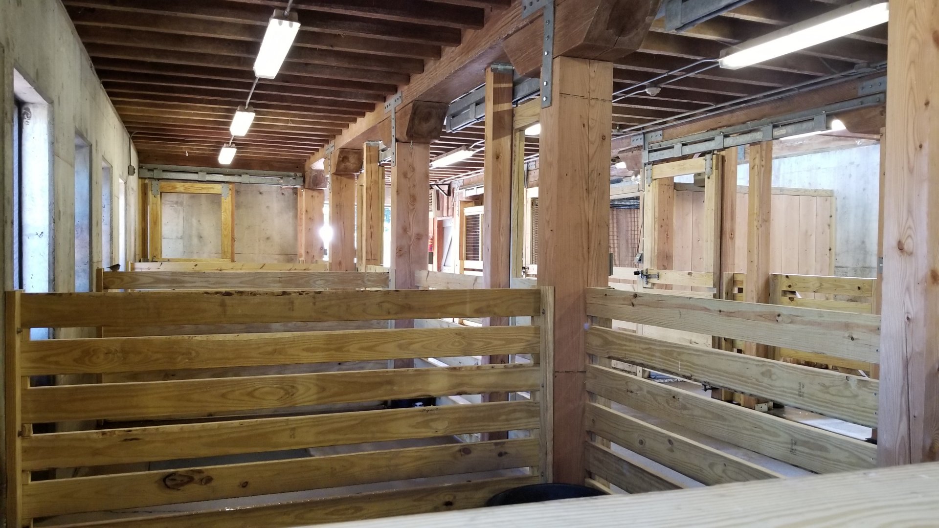 Rosamond Gifford - Inside barn